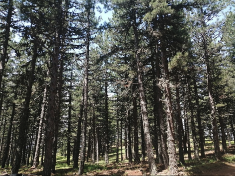 Ekran Resmi 2026-04-21 15.30.32.png