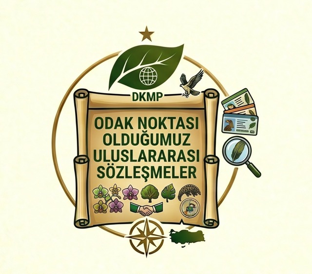 Odak Noktası Olduğumuz Uluslararası Sözleşmeler